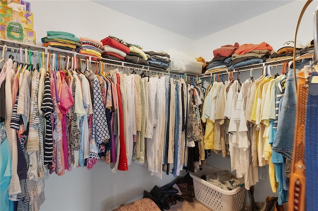 view of spacious closet