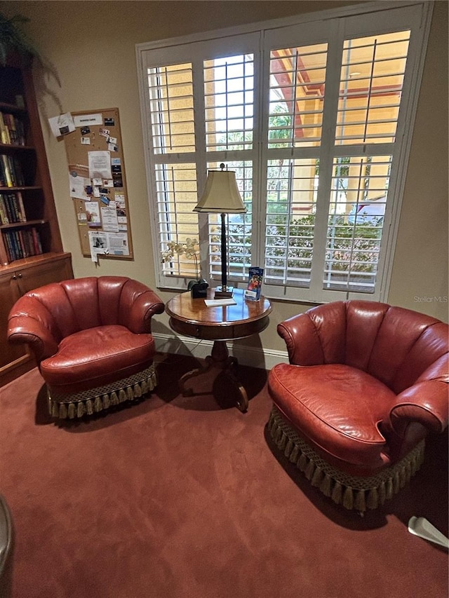 living area featuring carpet floors