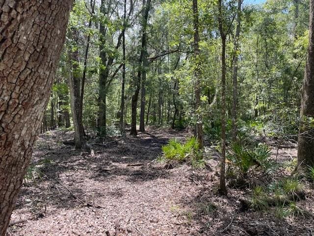 TBD Pine Tree Ln, Melrose FL, 32666 land for sale