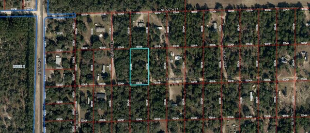 000 NE 118th Ln, Bronson, FL 32621 - photo 2