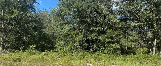 000 NE 118th Ln, Bronson, FL 32621 - photo 3