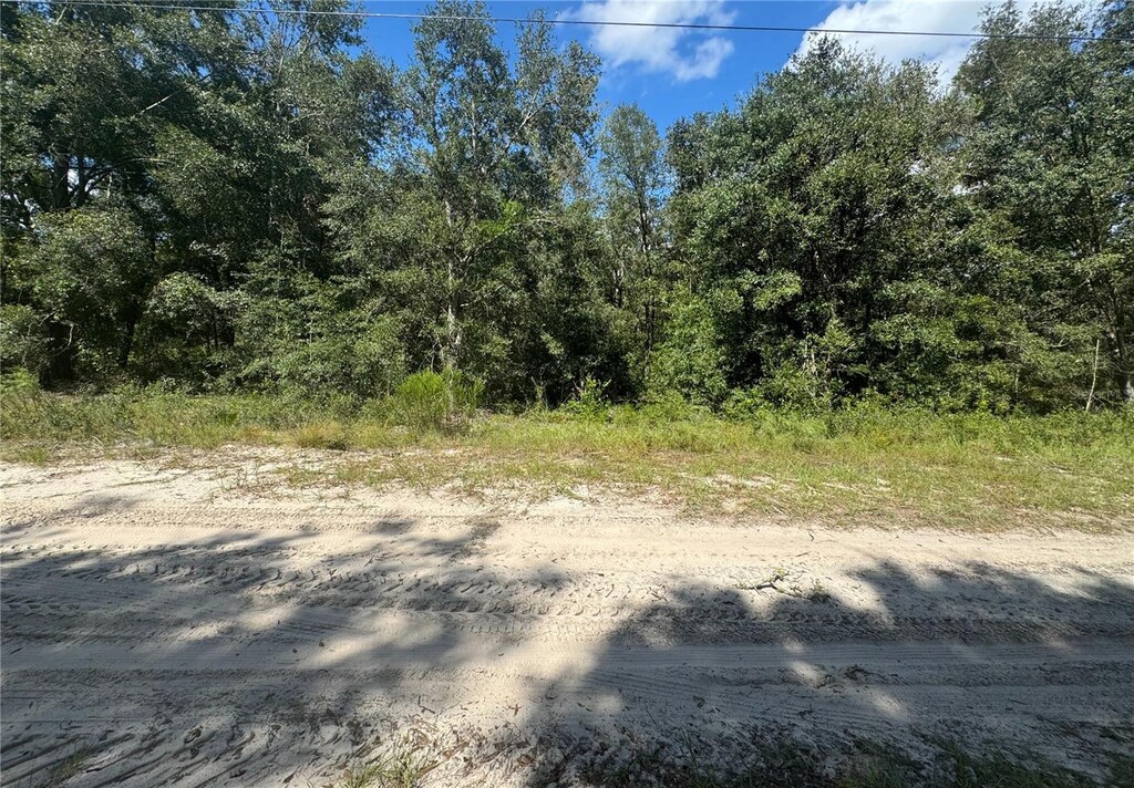 000 NE 118th Ln, Bronson, FL 32621 - photo 4