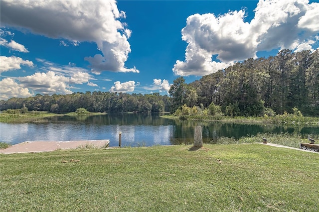 property view of water