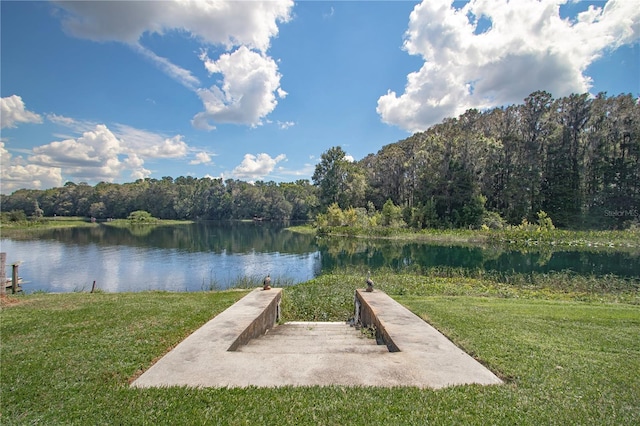 dock area with a yard and a water view