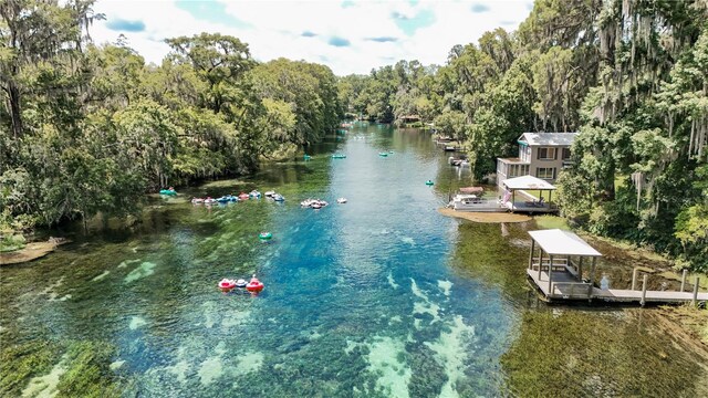 property view of water with a dock