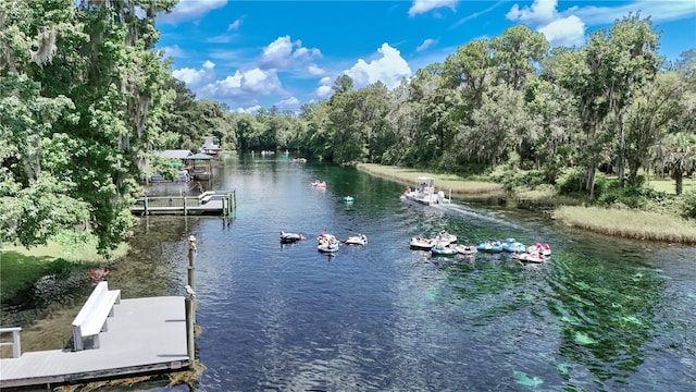 view of water feature featuring a dock