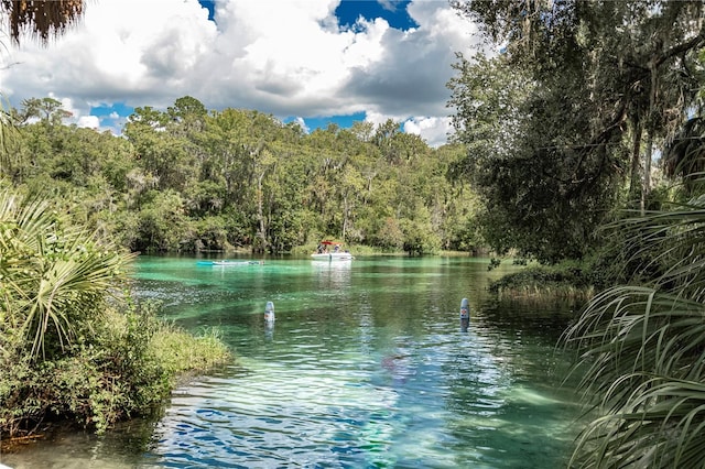 property view of water