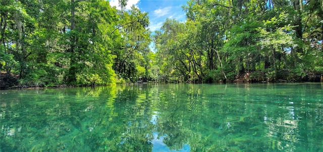 property view of water