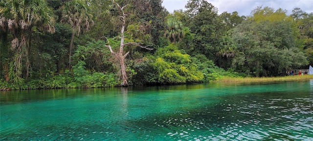 property view of water