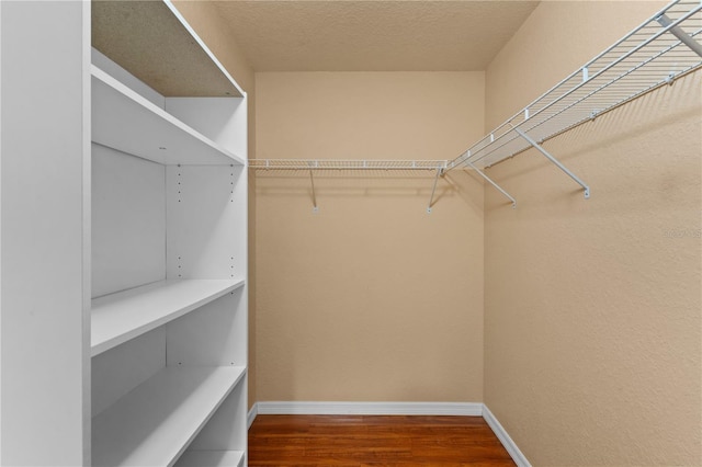 spacious closet with hardwood / wood-style flooring