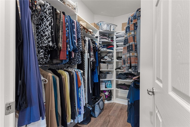 walk in closet featuring hardwood / wood-style floors