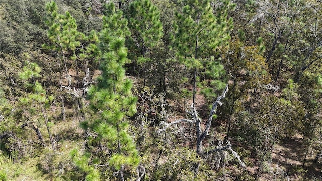 LOT37 SE 126th Ter, Dunnellon, FL 34431