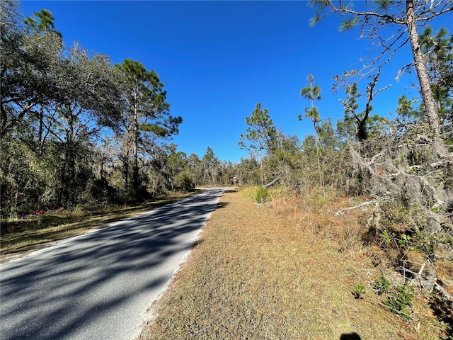 LOT37 SE 126th Ter, Dunnellon, FL 34431