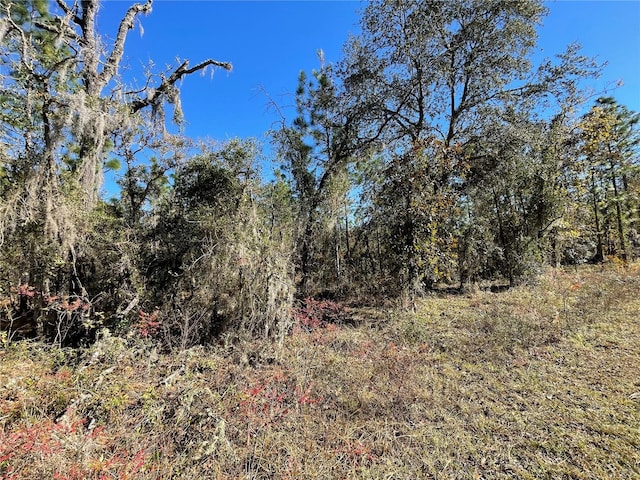 Listing photo 2 for LOT37 SE 126th Ter, Dunnellon FL 34431