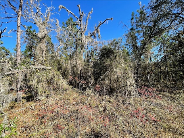 Listing photo 3 for LOT37 SE 126th Ter, Dunnellon FL 34431