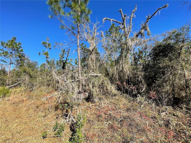 LOT37 SE 126th Ter, Dunnellon, FL 34431
