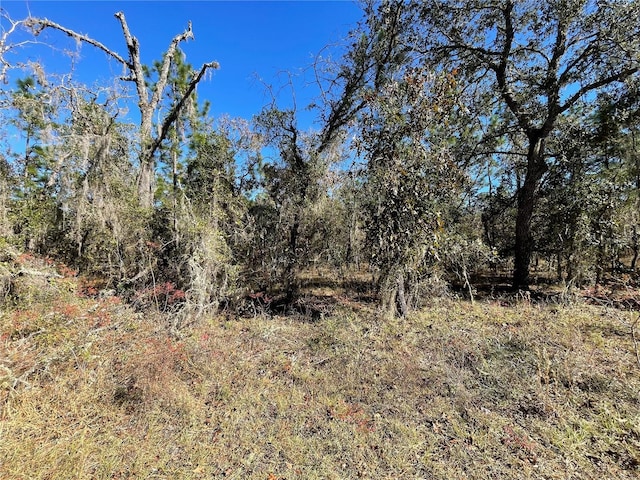 LOT37 SE 126th Ter, Dunnellon, FL 34431