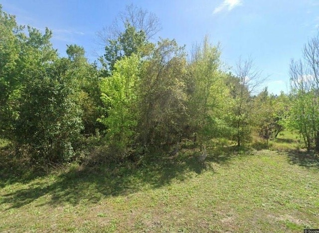 28802 Hibiscus Ave, Paisley FL, 32767 land for sale