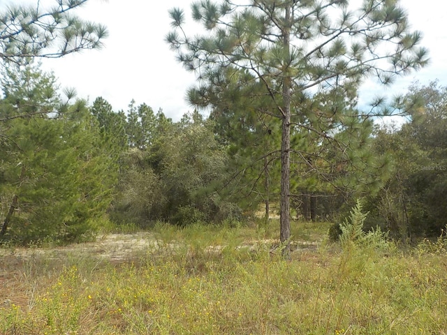 Listing photo 2 for LOT21 SW Floral Ct, Dunnellon FL 34431