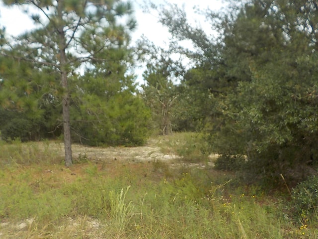 Listing photo 3 for LOT21 SW Floral Ct, Dunnellon FL 34431