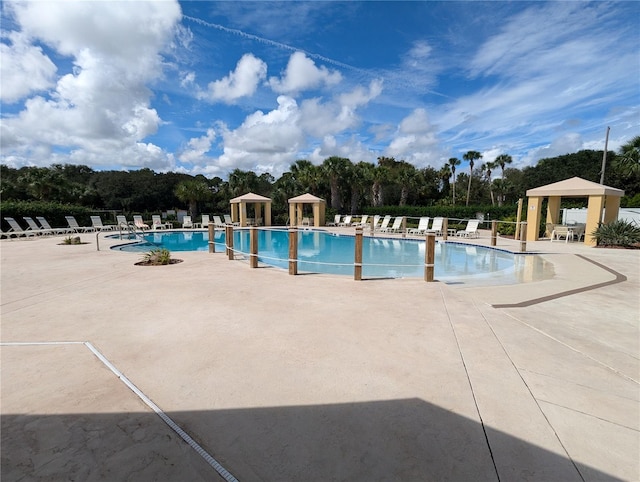 view of pool featuring a patio