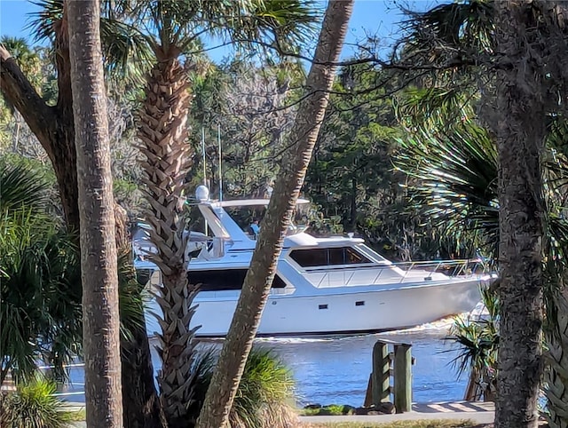 water view featuring a boat dock