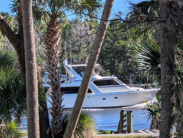 100 Canopy Walk Ln Unit 115, Palm Coast, FL 32137 - photo 27