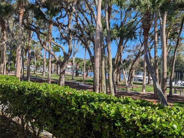 100 Canopy Walk Ln Unit 115, Palm Coast, FL 32137 - photo 34