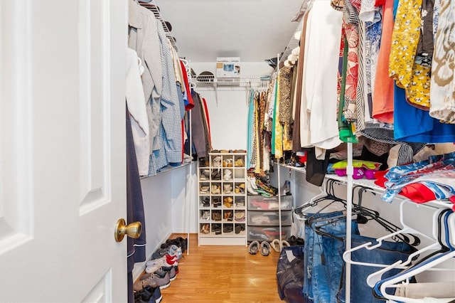 spacious closet featuring wood-type flooring