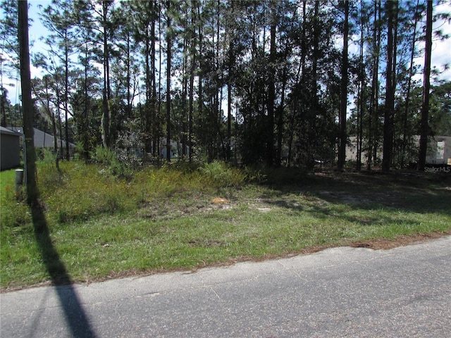 9250 N Travis Dr, Citrus Springs, FL 34434