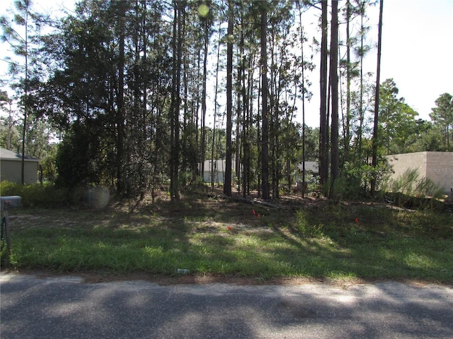 9250 N Travis Dr, Citrus Springs, FL 34434