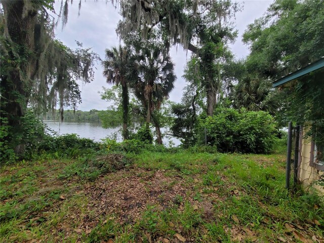 2 Mill St, Welaka, FL 32193 - photo 6