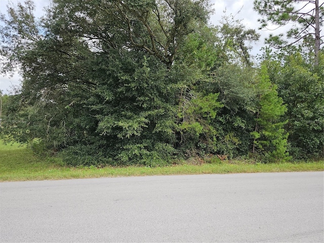 00 Sw 129 Terrace Road, Dunnellon FL, 34432 land for sale