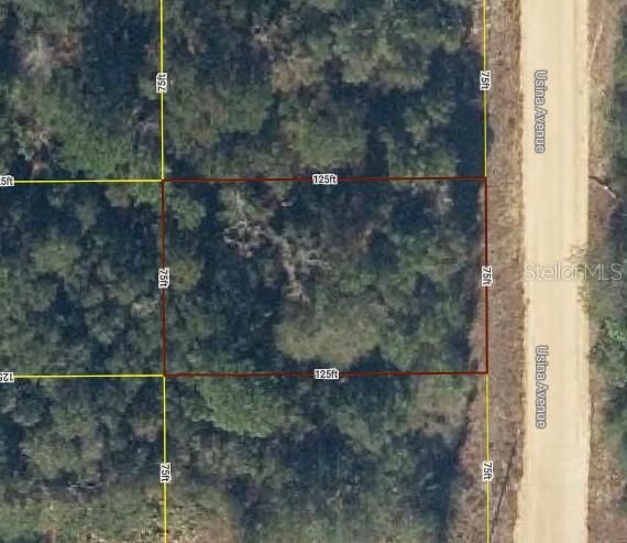 LOT20 Usina Ave, Interlachen FL, 32148 land for sale