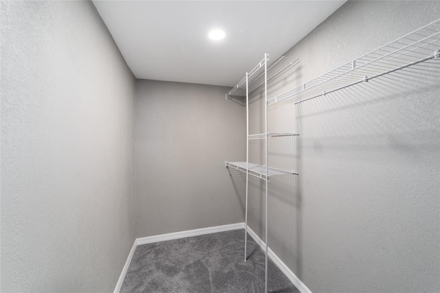 walk in closet featuring dark colored carpet