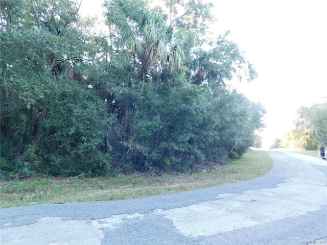 11917 N Captiva Ter, Dunnellon FL, 34433 land for sale