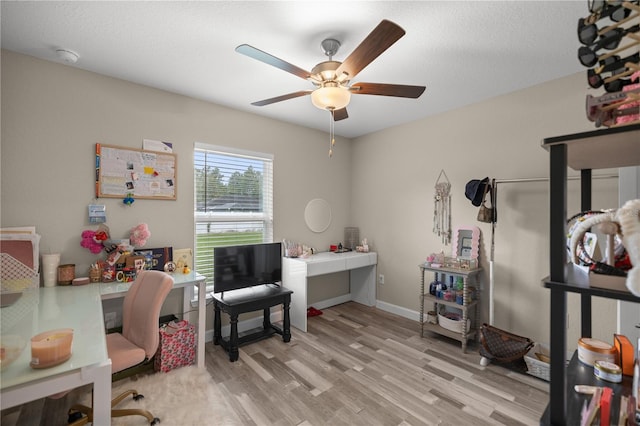 office featuring ceiling fan, a textured ceiling, and light wood-type flooring