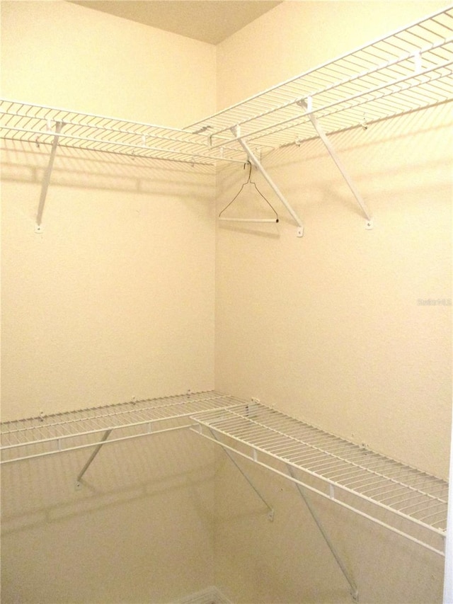 view of walk in closet