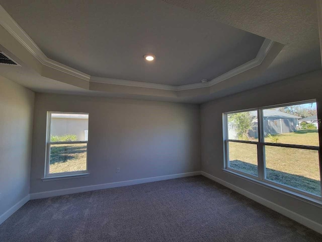 spare room featuring a raised ceiling, carpet floors, and ornamental molding