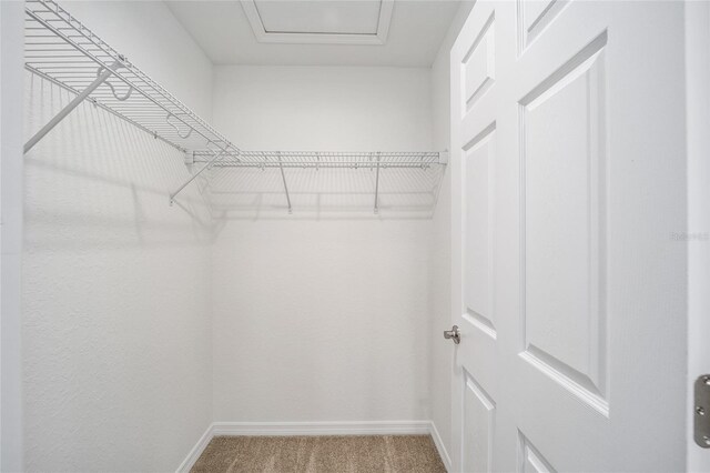 10816 SE 66th Ave, Belleview, FL 34420 - spacious closet with carpet floors