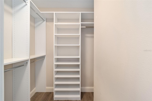 spacious closet with hardwood / wood-style flooring