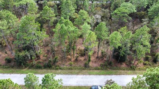 00 NW Hillsdale Ave, Dunnellon FL, 34431 land for sale