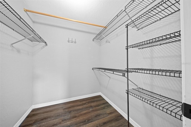 spacious closet featuring dark wood-type flooring