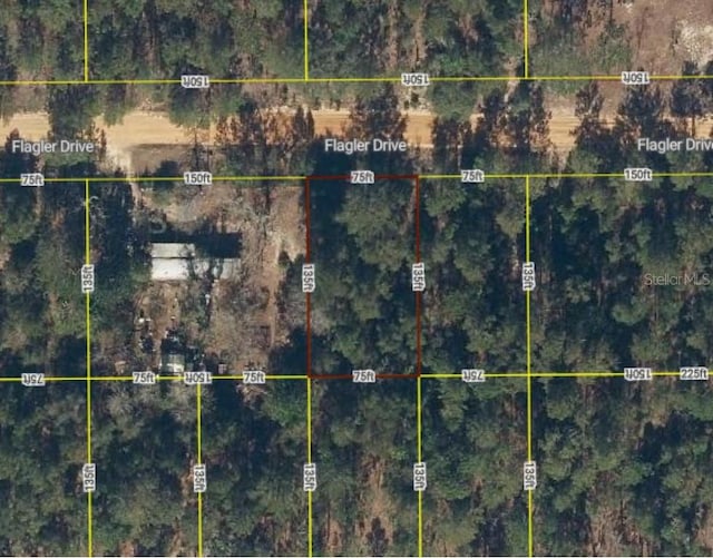 309 Flagler Dr, Interlachen FL, 32148 land for sale