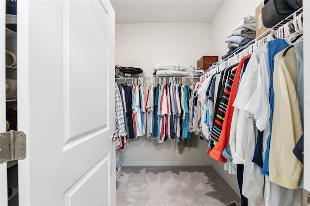 walk in closet featuring carpet flooring