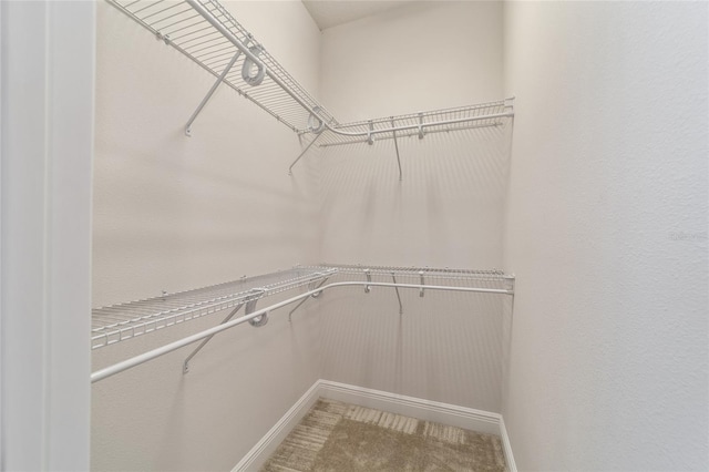 walk in closet featuring carpet floors