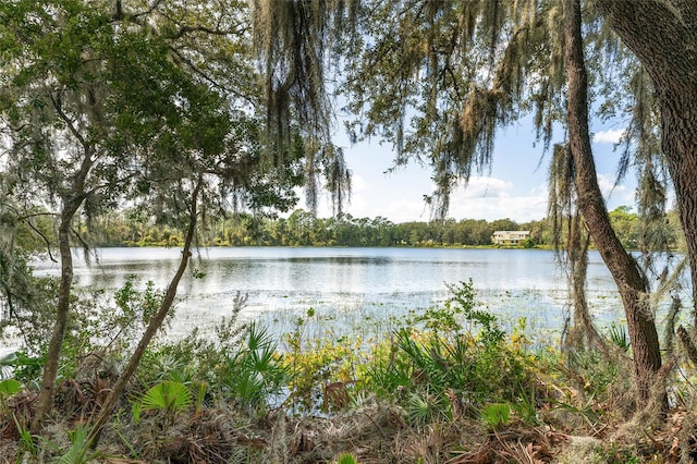 O Malauka Radial, Ocklawaha FL, 32179 land for sale