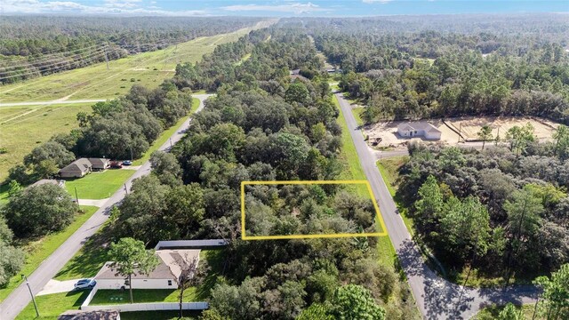 2771 W Fillmore St, Citrus Springs, FL 34433 - photo 1