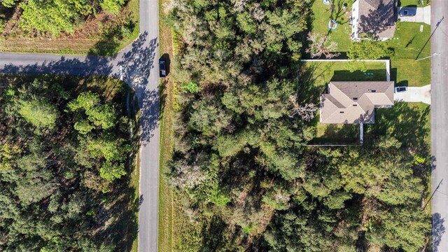 2771 W Fillmore St, Citrus Springs, FL 34433 - photo 2