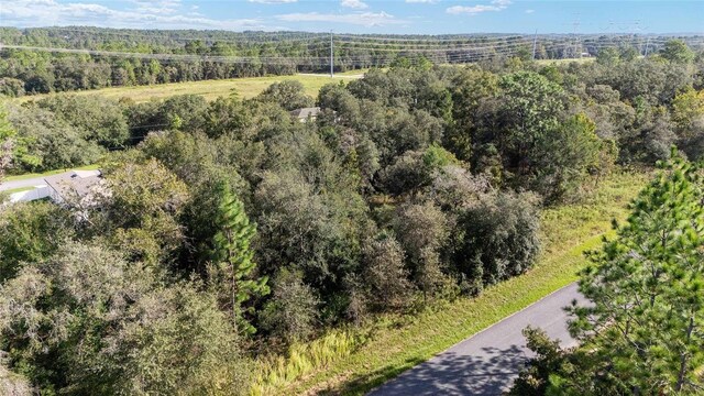 2771 W Fillmore St, Citrus Springs, FL 34433 - photo 3